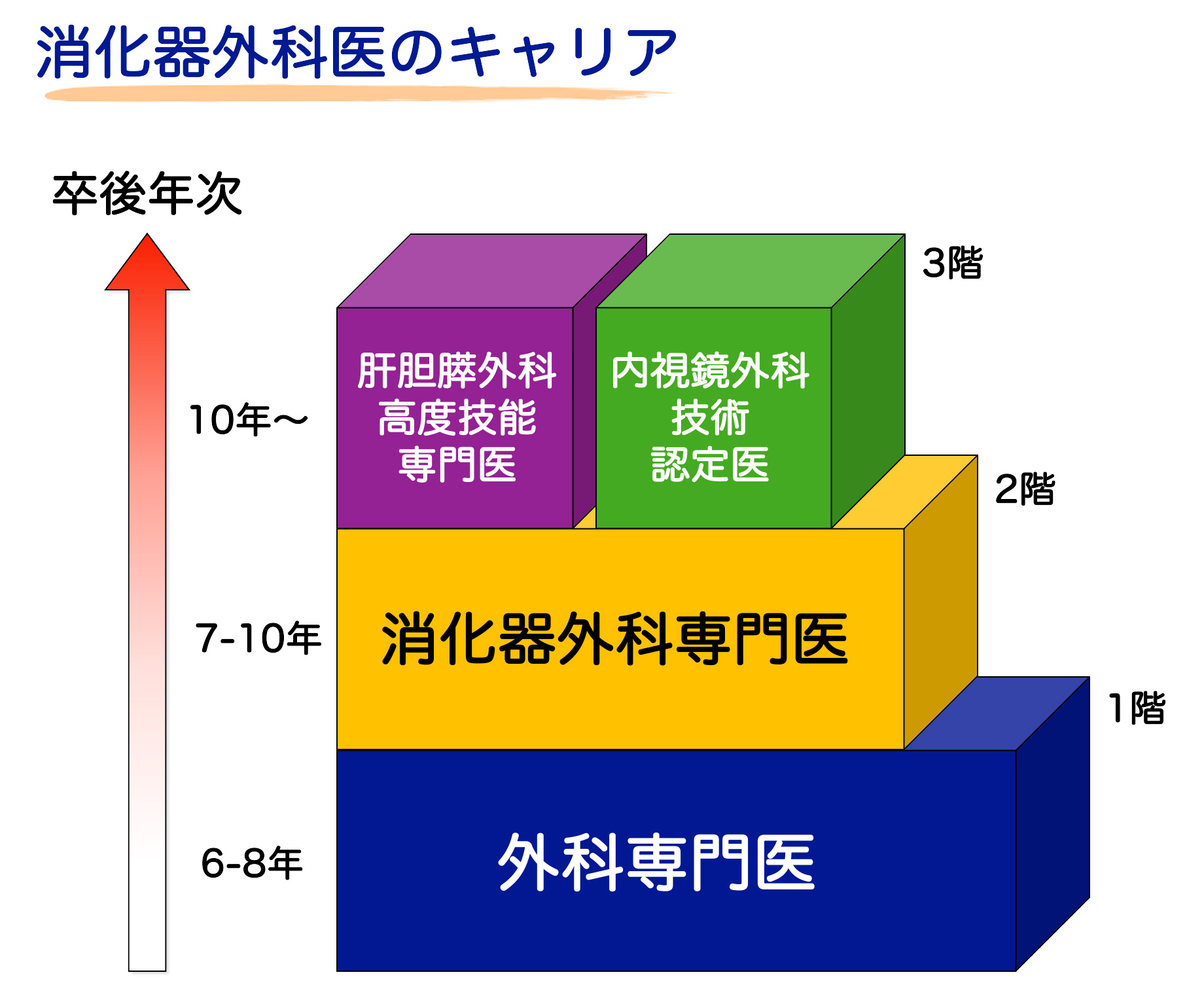 消化器外科医のキャリア