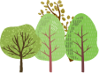 高茶屋tree